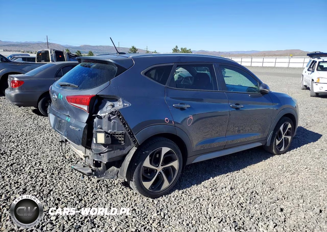 2017 Hyundai Tucson Sport VIN:KM8J33A20HU409449 - 3