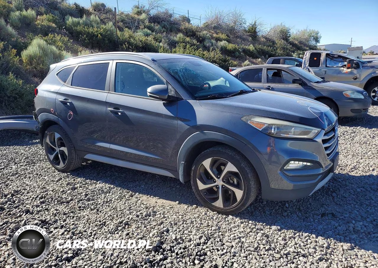 2017 Hyundai Tucson Sport VIN:KM8J33A20HU409449 - 4
