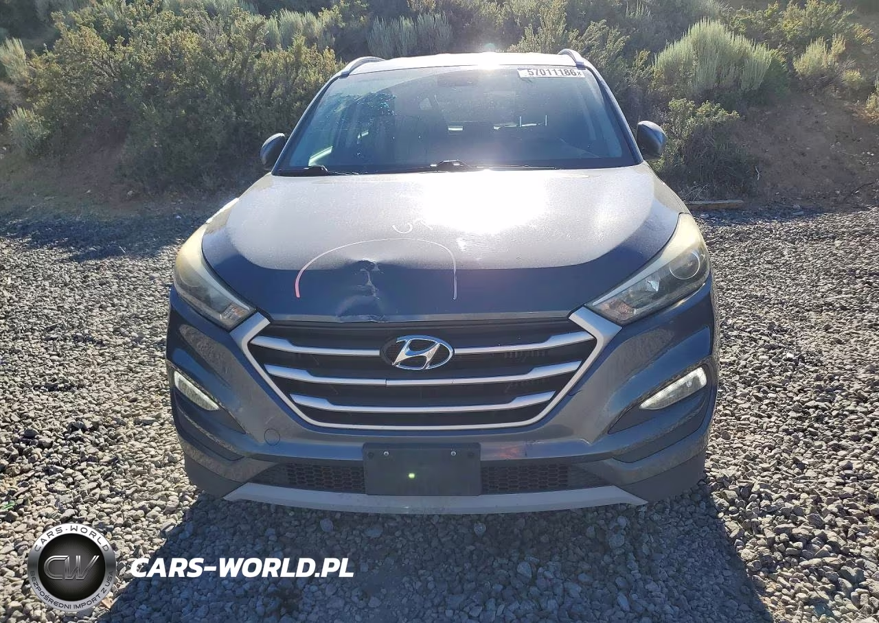 2017 Hyundai Tucson Sport VIN:KM8J33A20HU409449 - 5