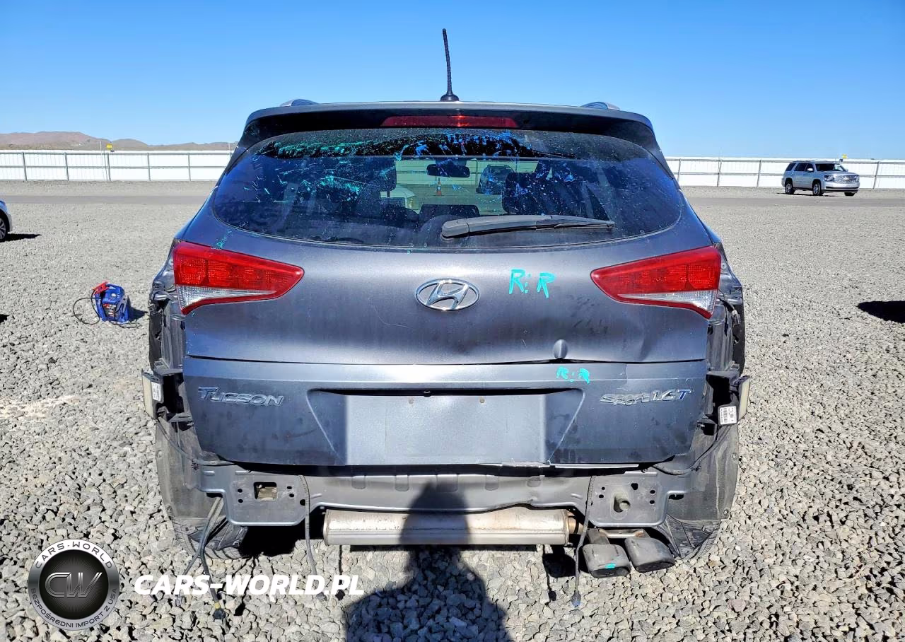 2017 Hyundai Tucson Sport VIN:KM8J33A20HU409449 - 6