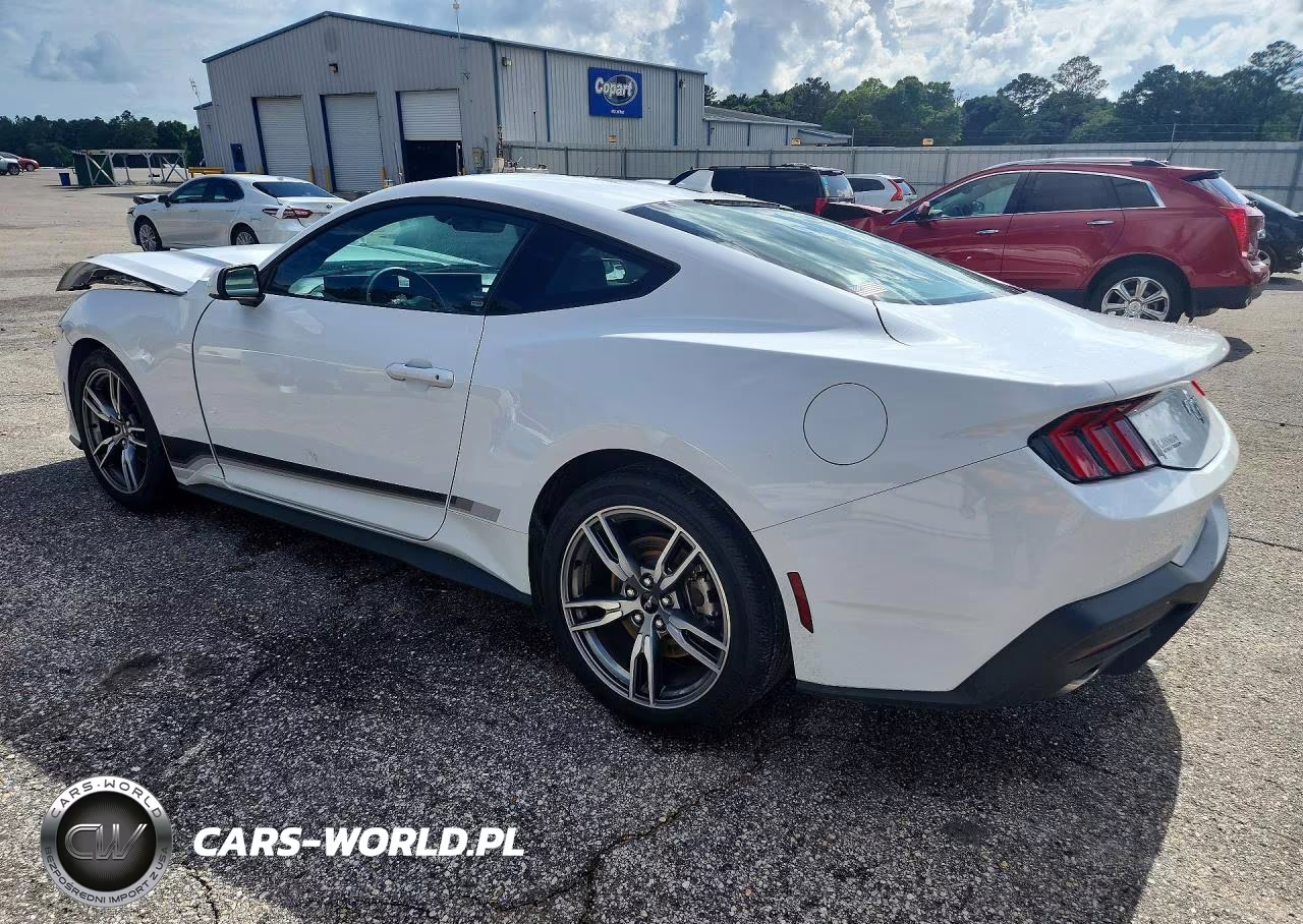2025 Ford Mustang VIN:1FA6P8TH8S5110053 - 2