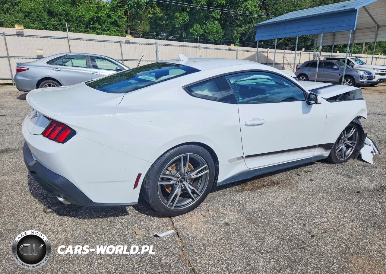 2025 Ford Mustang VIN:1FA6P8TH8S5110053 - 3