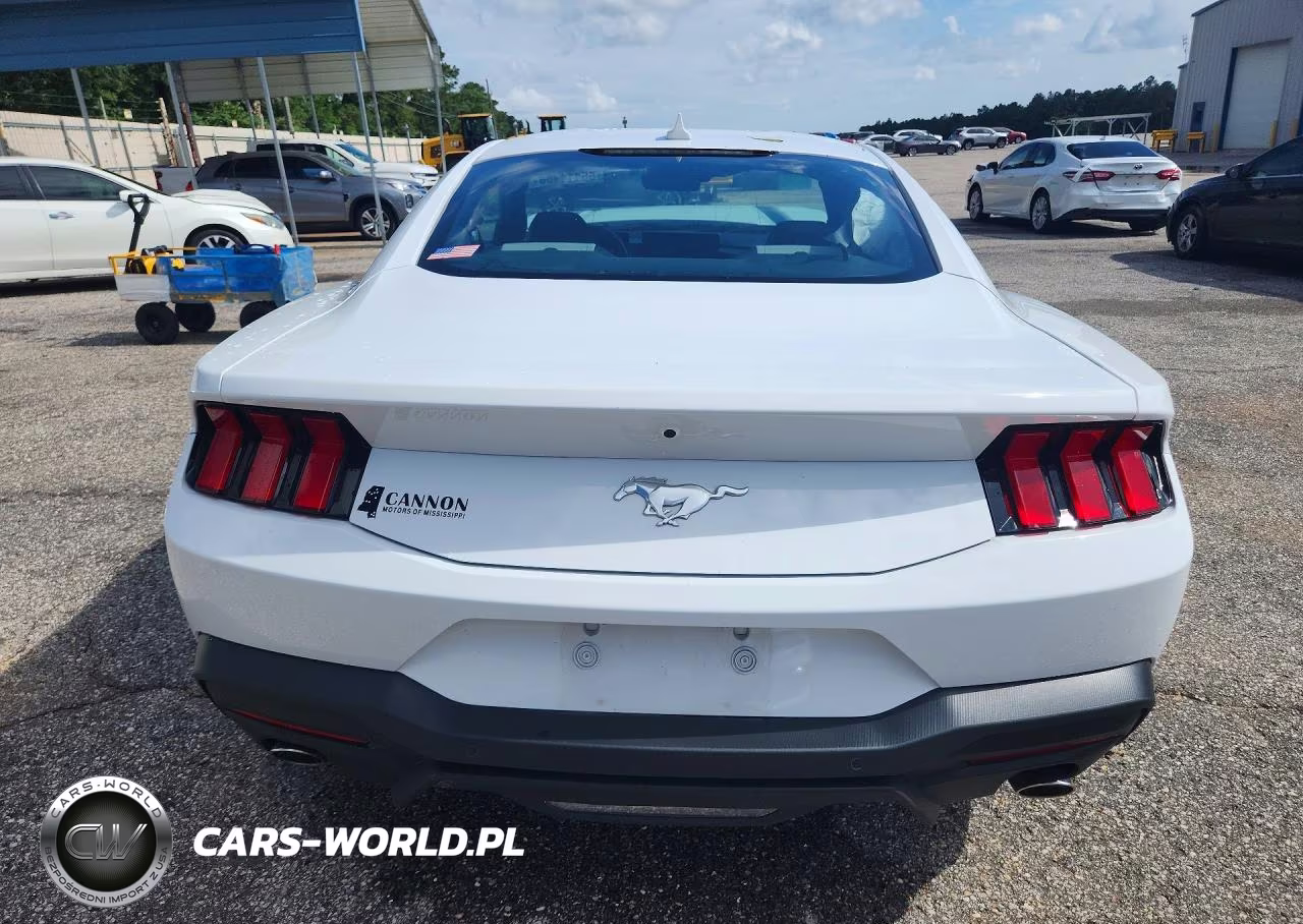 2025 Ford Mustang VIN:1FA6P8TH8S5110053 - 6