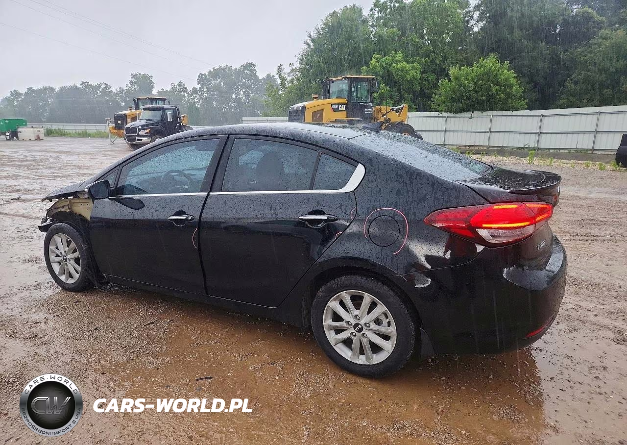 2017 Kia Forte S VIN:3KPFL4A79HE095858 - 2