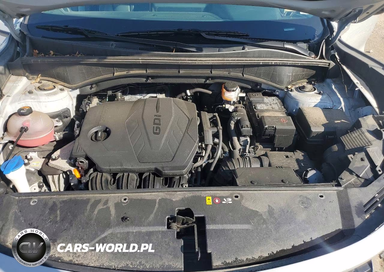 2023 Kia Sorento S VIN:5XYRLDLC4PG194743 - 12