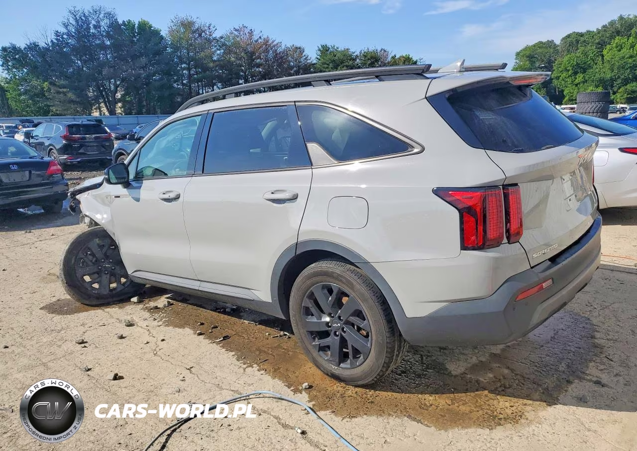 2023 Kia Sorento S VIN:5XYRLDLC4PG194743 - 2