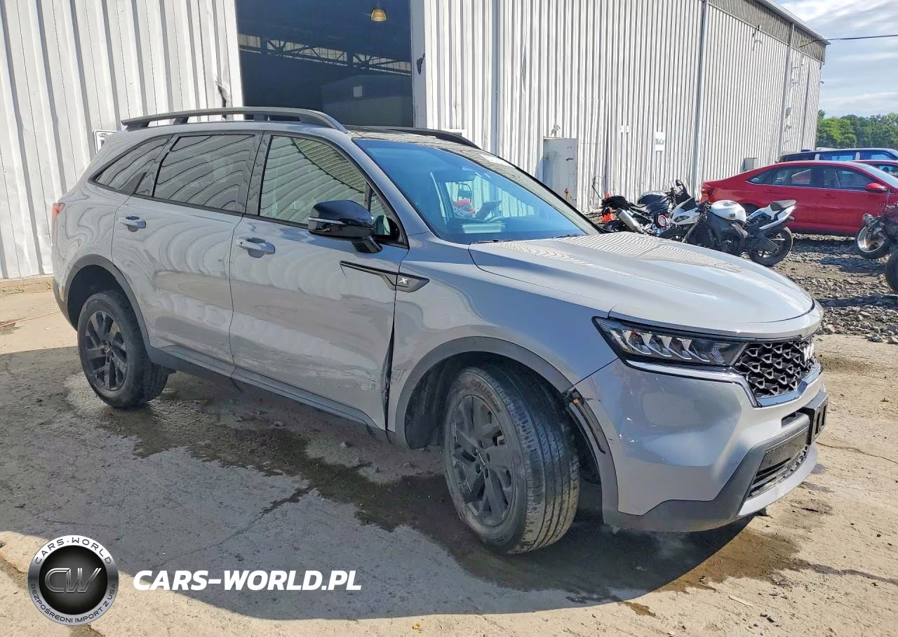 2023 Kia Sorento S VIN:5XYRLDLC4PG194743 - 4