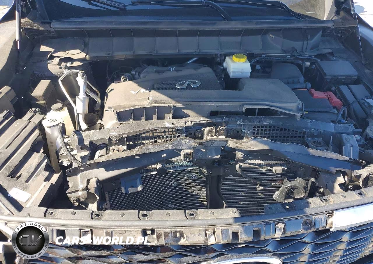 2024 Infiniti Qx60 Pure VIN:5N1DL1ES8RC336334 - 12