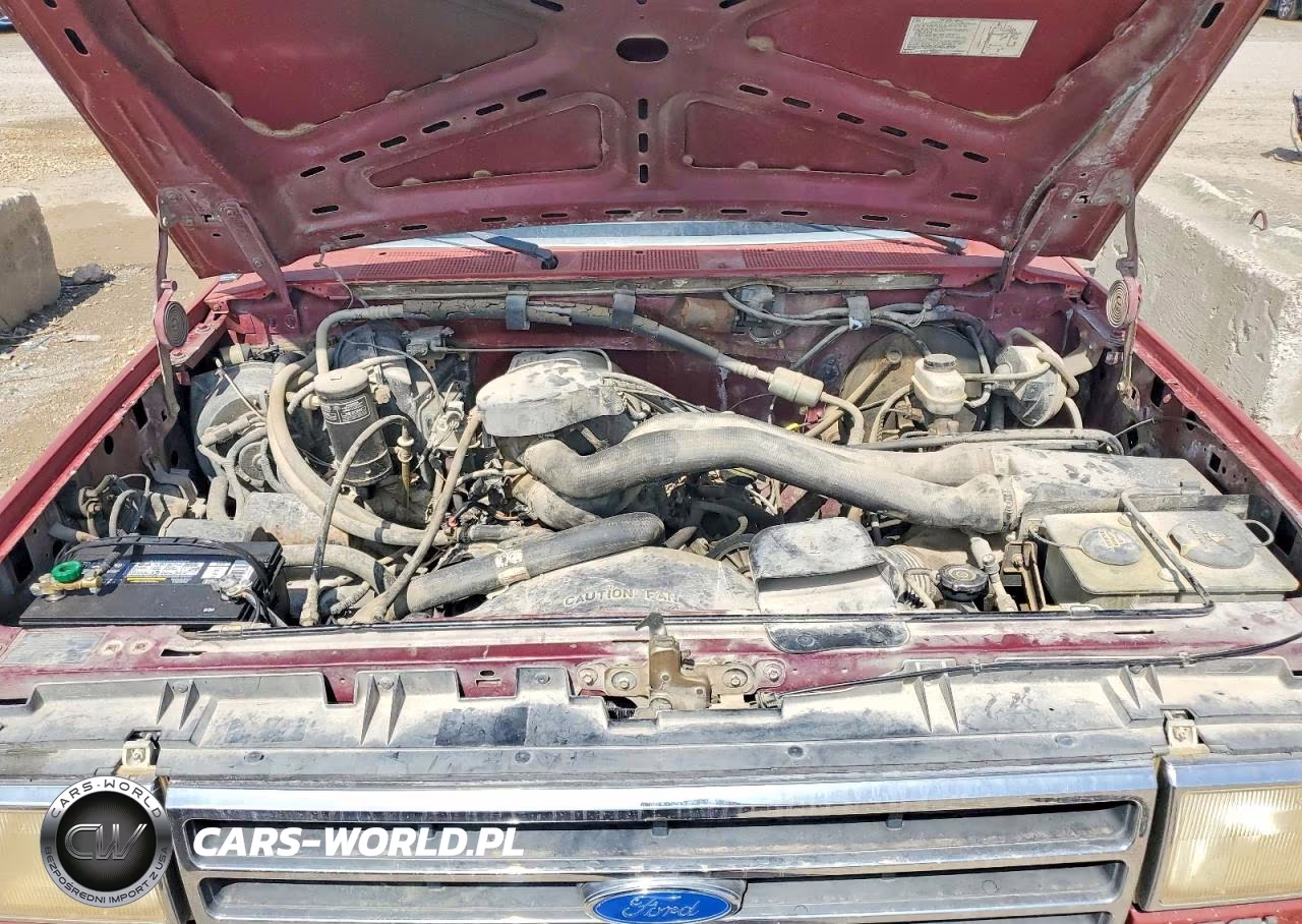 1991 Ford F150 VIN:1FTDF15N5MNB02834 - 11