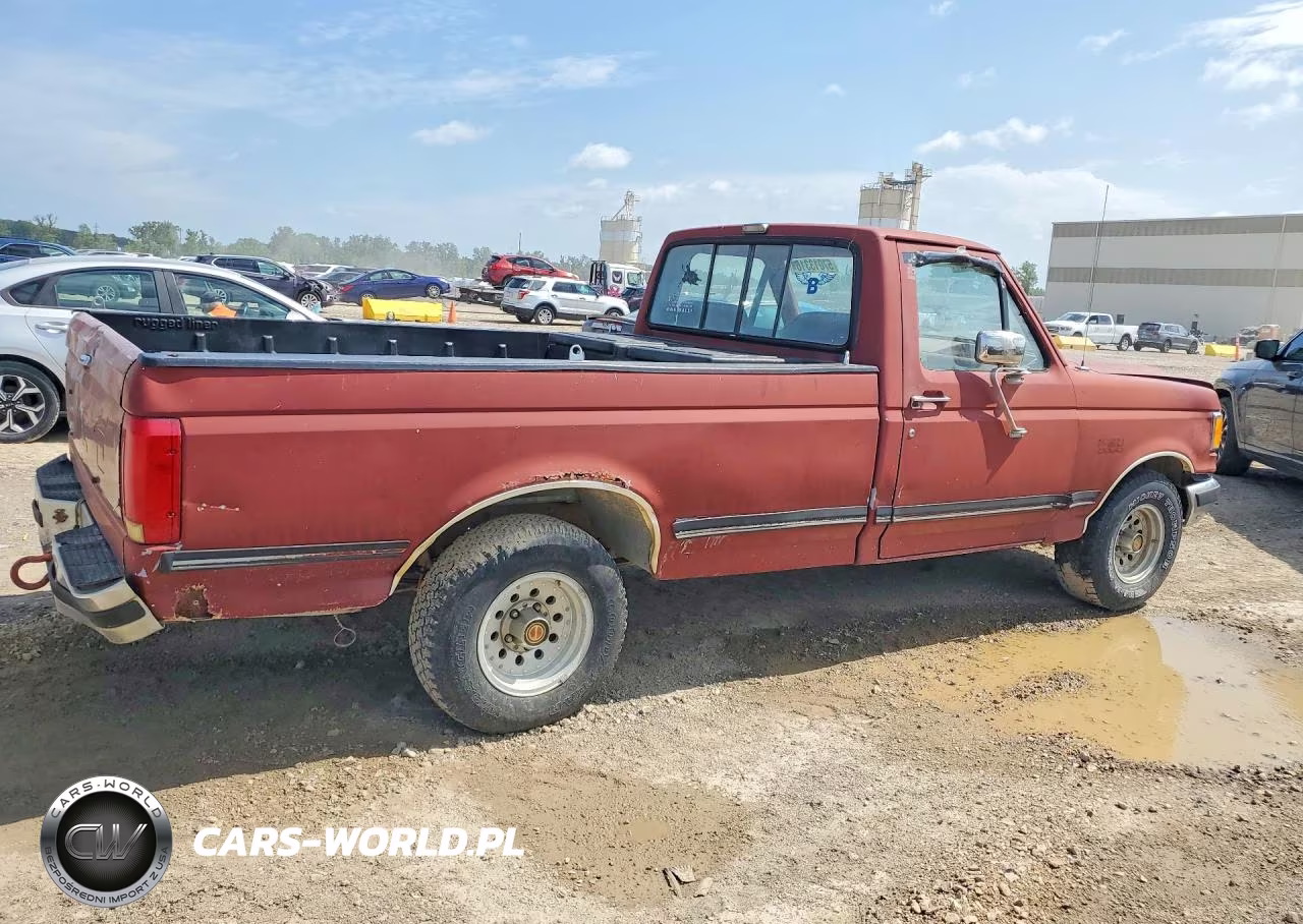 1991 Ford F150 VIN:1FTDF15N5MNB02834 - 3