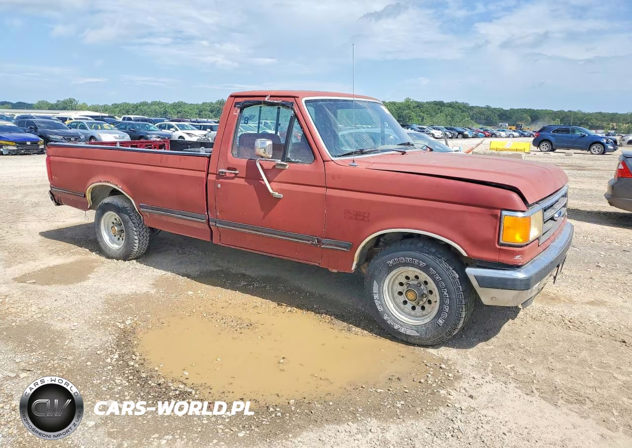 1991 Ford F150 VIN:1FTDF15N5MNB02834 - 4