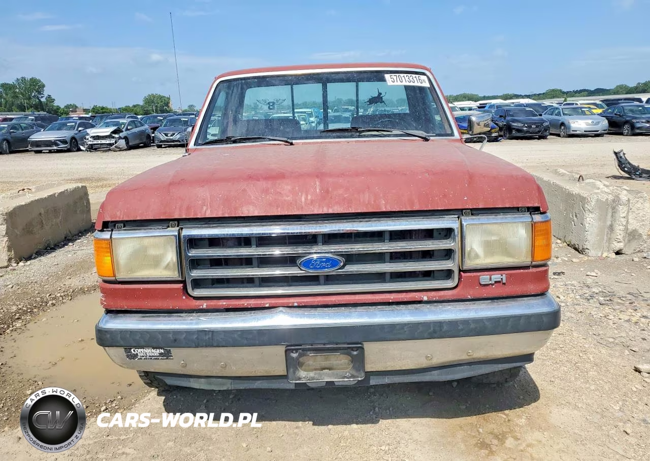 1991 Ford F150 VIN:1FTDF15N5MNB02834 - 5