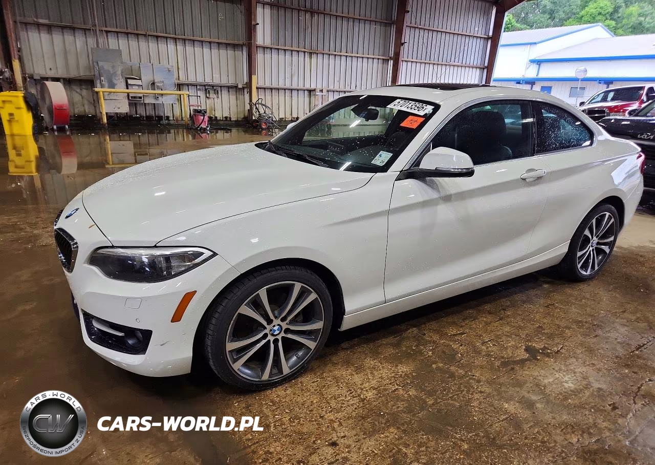 2016 BMW 228 I Sulev