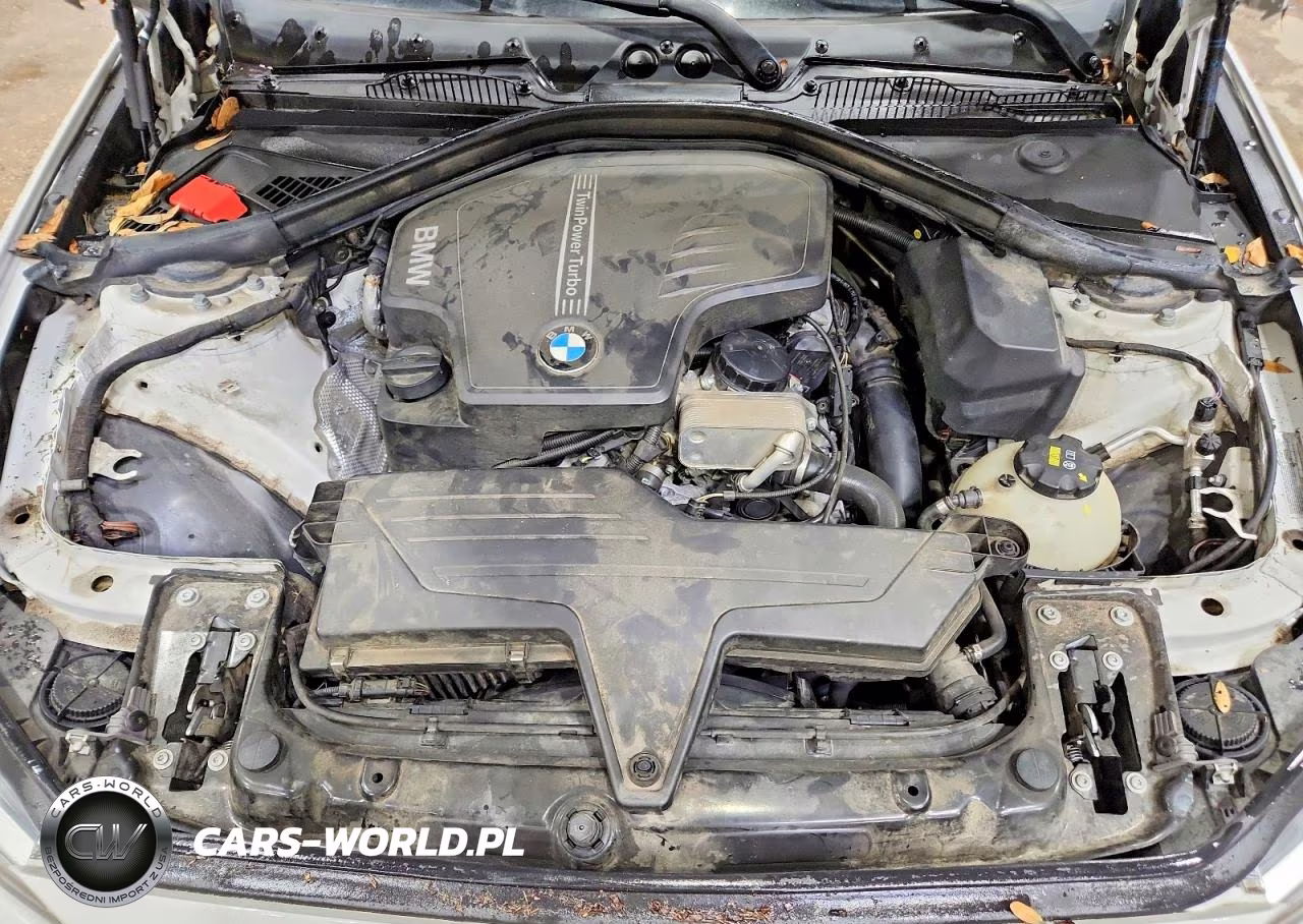 2016 BMW 228 I Sulev VIN:WBA1F9C53GV546364 - 11
