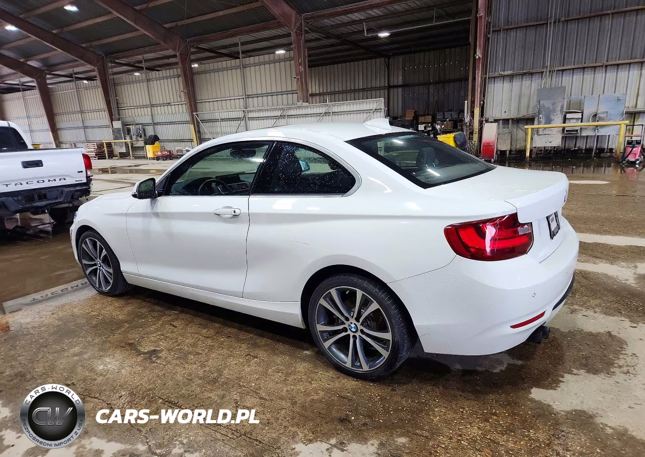 2016 BMW 228 I Sulev VIN:WBA1F9C53GV546364 - 2