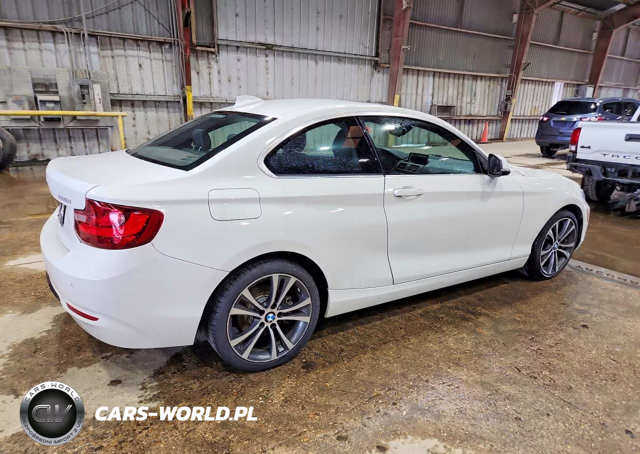 2016 BMW 228 I Sulev VIN:WBA1F9C53GV546364 - 3