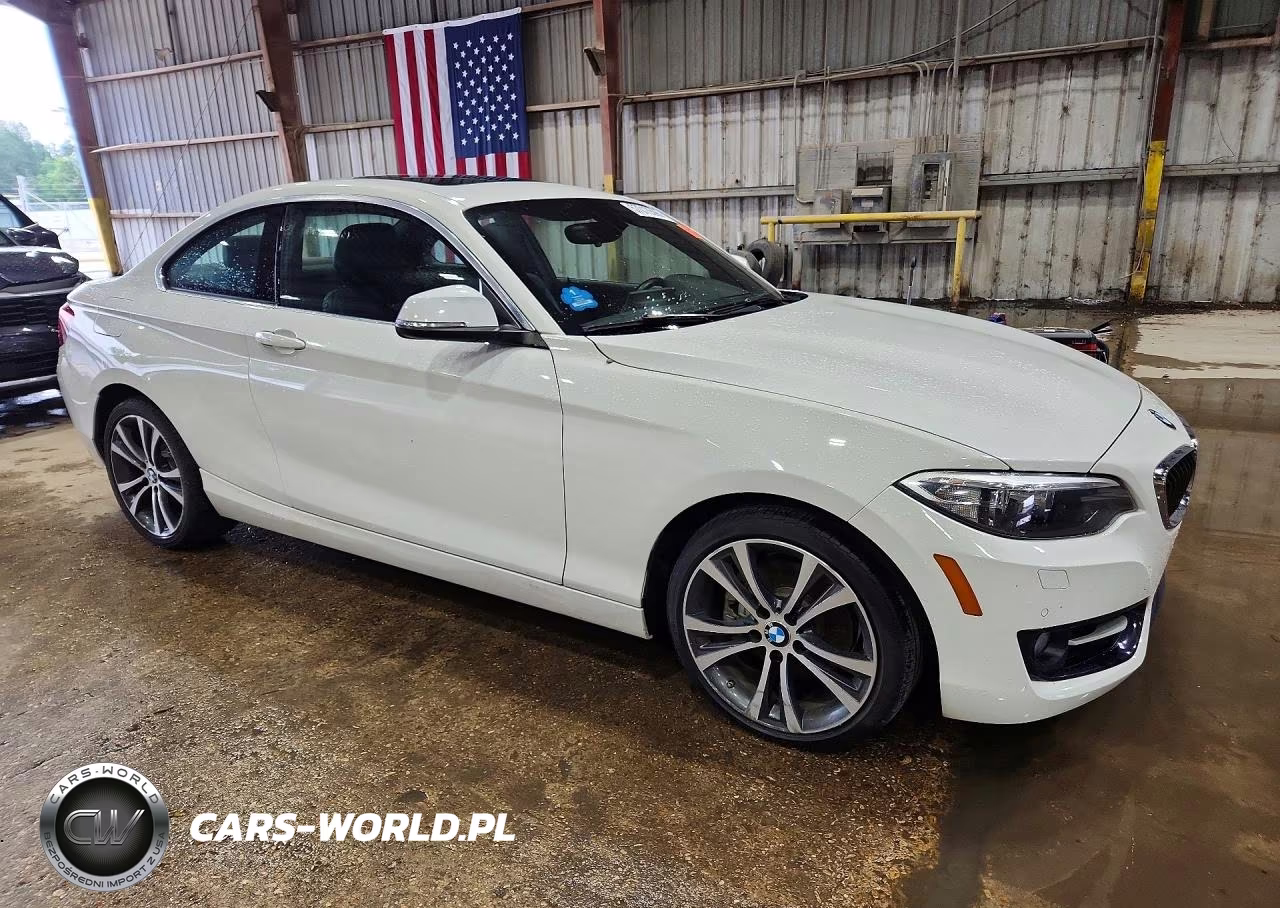 2016 BMW 228 I Sulev VIN:WBA1F9C53GV546364 - 4