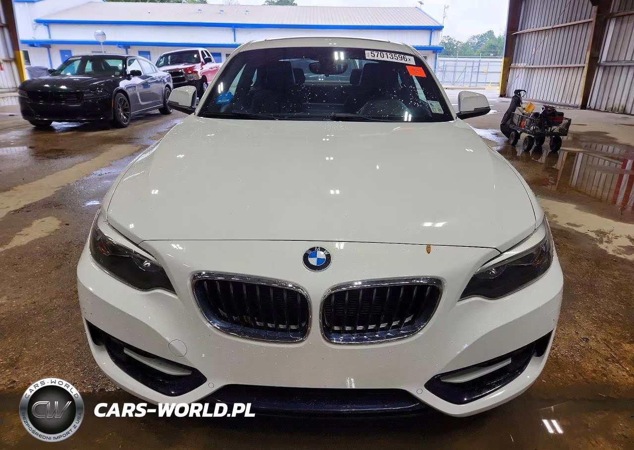 2016 BMW 228 I Sulev VIN:WBA1F9C53GV546364 - 5