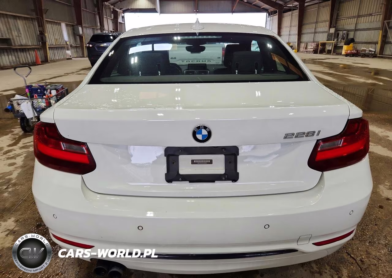 2016 BMW 228 I Sulev VIN:WBA1F9C53GV546364 - 6