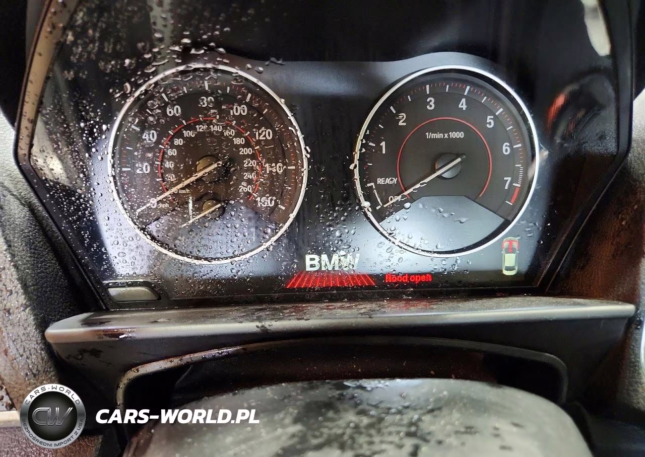 2016 BMW 228 I Sulev VIN:WBA1F9C53GV546364 - 9