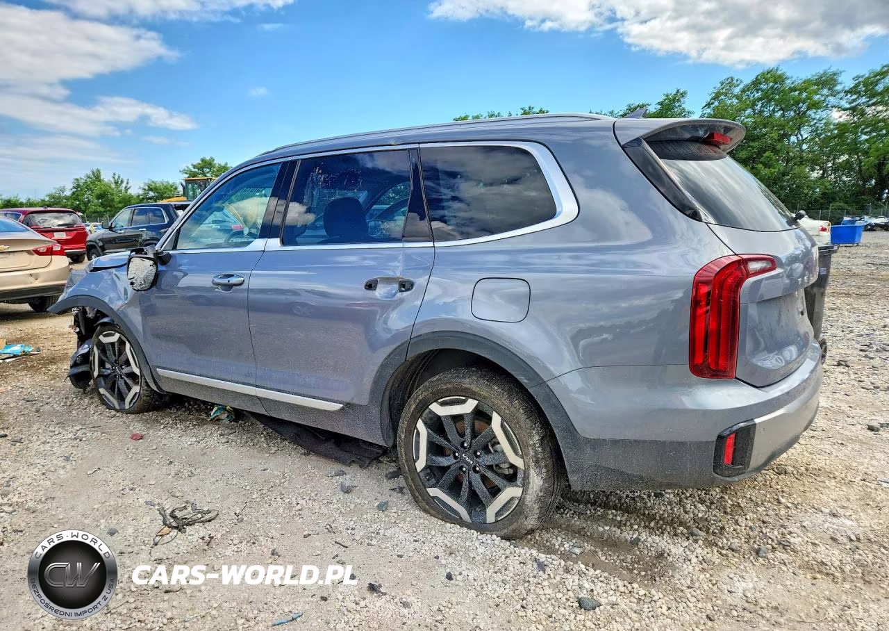 2025 Kia Telluride S VIN:5XYP64GC9SG699114 - 2