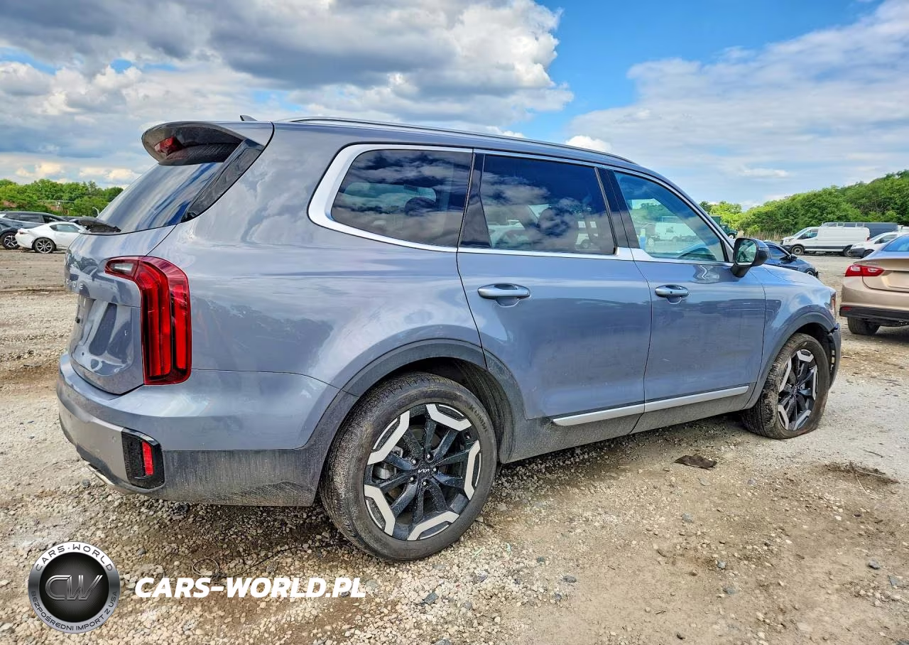 2025 Kia Telluride S VIN:5XYP64GC9SG699114 - 3