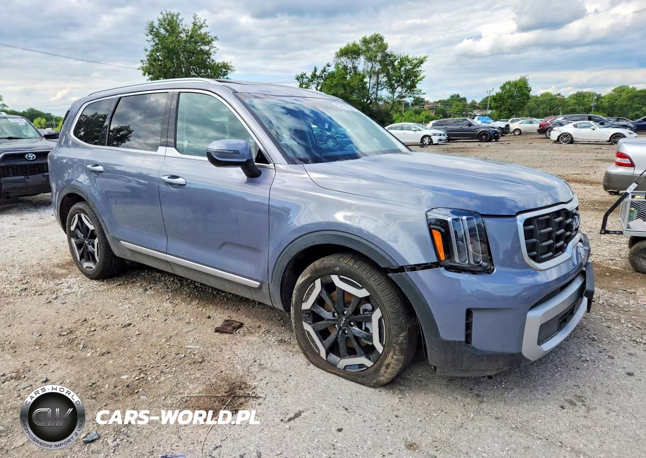 2025 Kia Telluride S VIN:5XYP64GC9SG699114 - 4