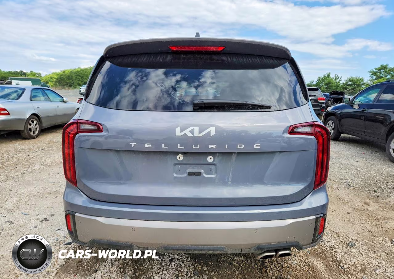 2025 Kia Telluride S VIN:5XYP64GC9SG699114 - 6