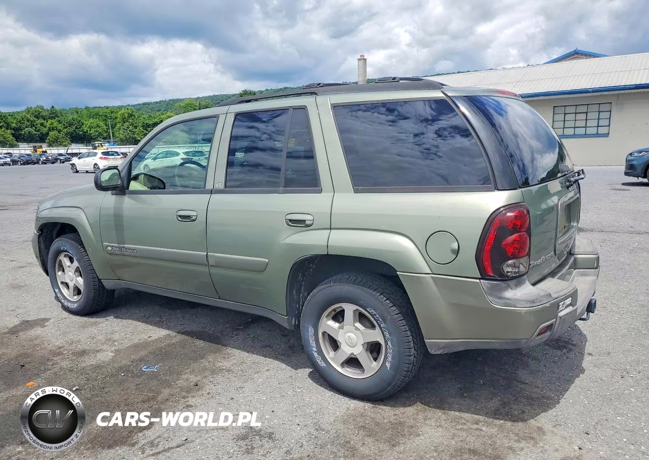 2004 Chevrolet Trailblazer Ls VIN:1GNDT13S942243917 - 2