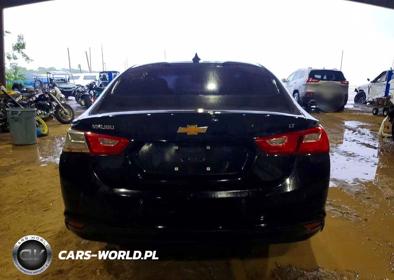 2023 Chevrolet Malibu Lt VIN:1G1ZD5ST7PF175720 - 6