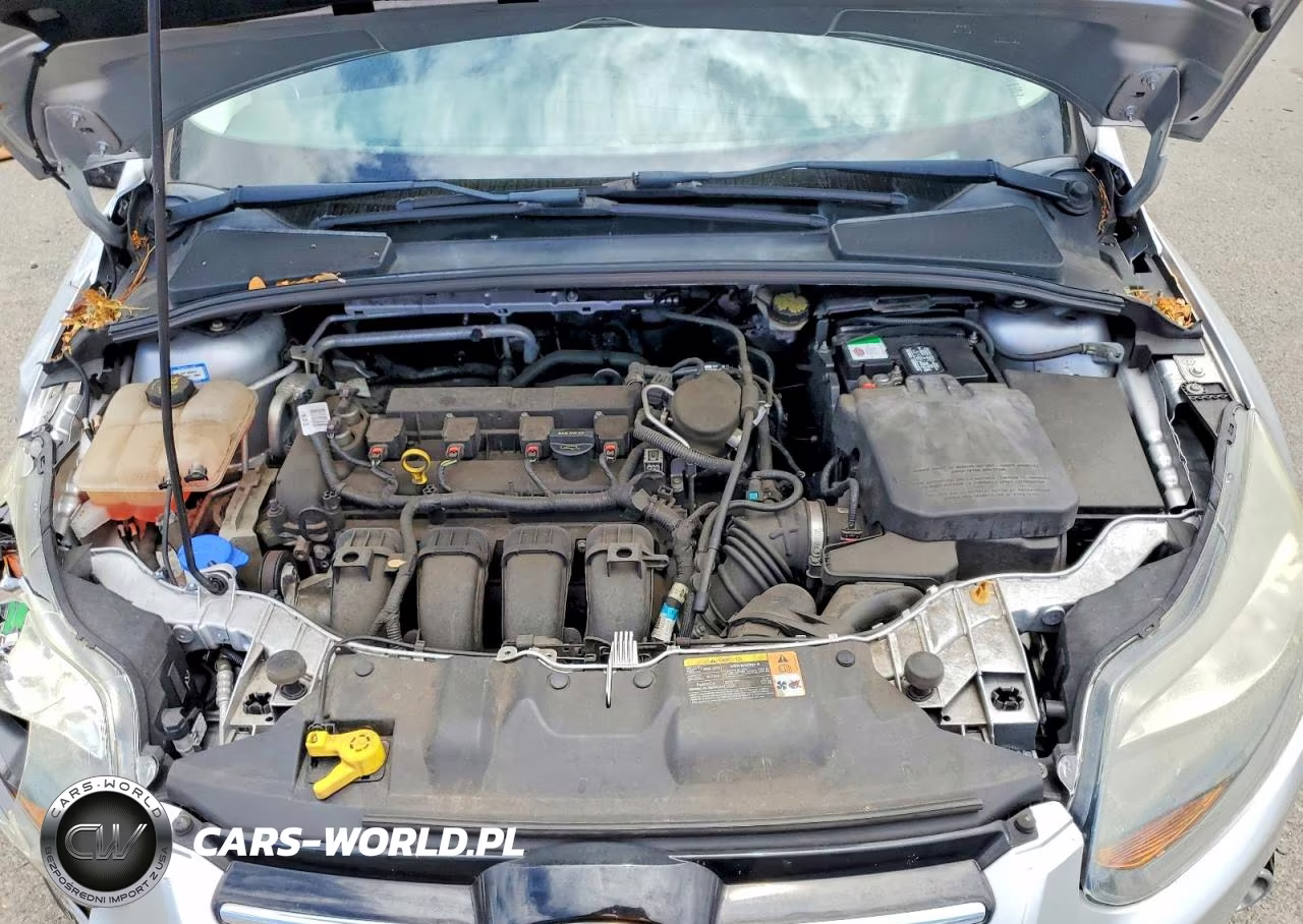 2014 Ford Focus Titanium VIN:1FADP3N21EL263991 - 11