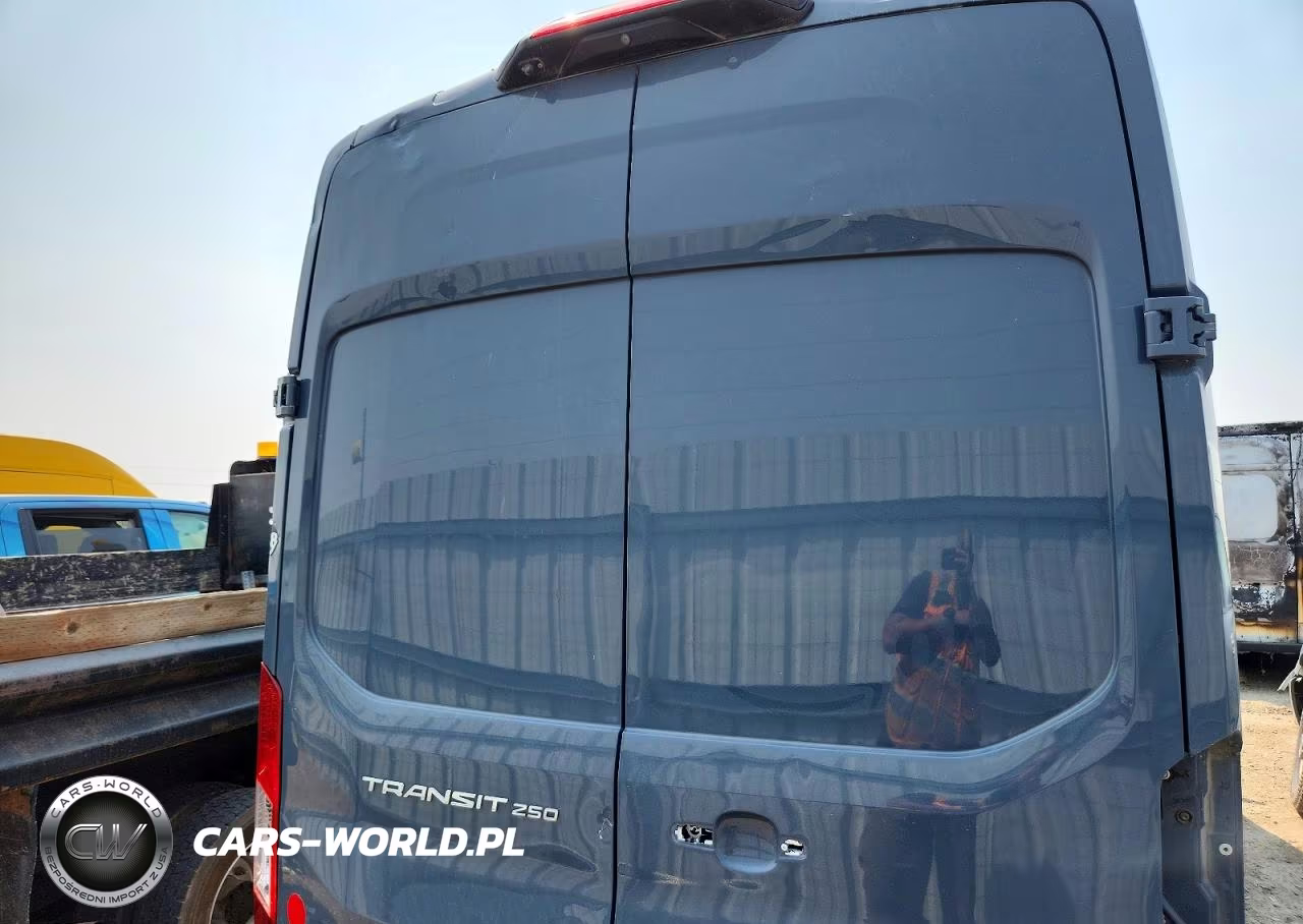 2020 Ford Transit T-250 Delivery Van VIN:1FTBR3X81LKA55903 - 10