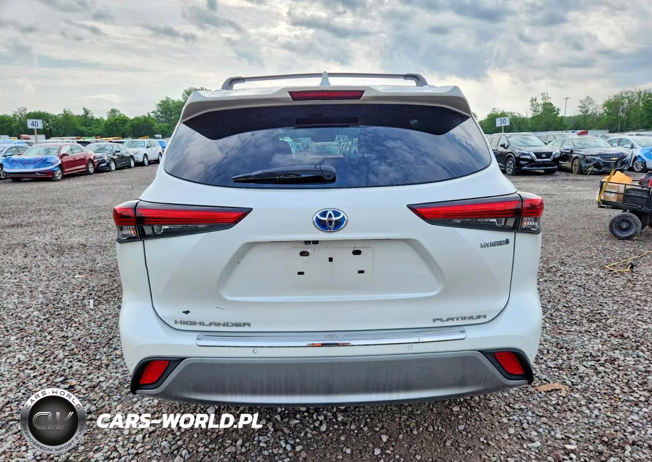 2020 Toyota Highlander Hybrid Platinum VIN:5TDEBRCH8LS005616 - 6