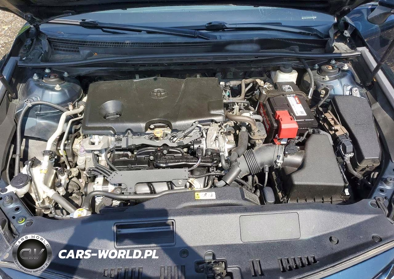 2019 Toyota Camry Se VIN:4T1B11HK2KU702877 - 11