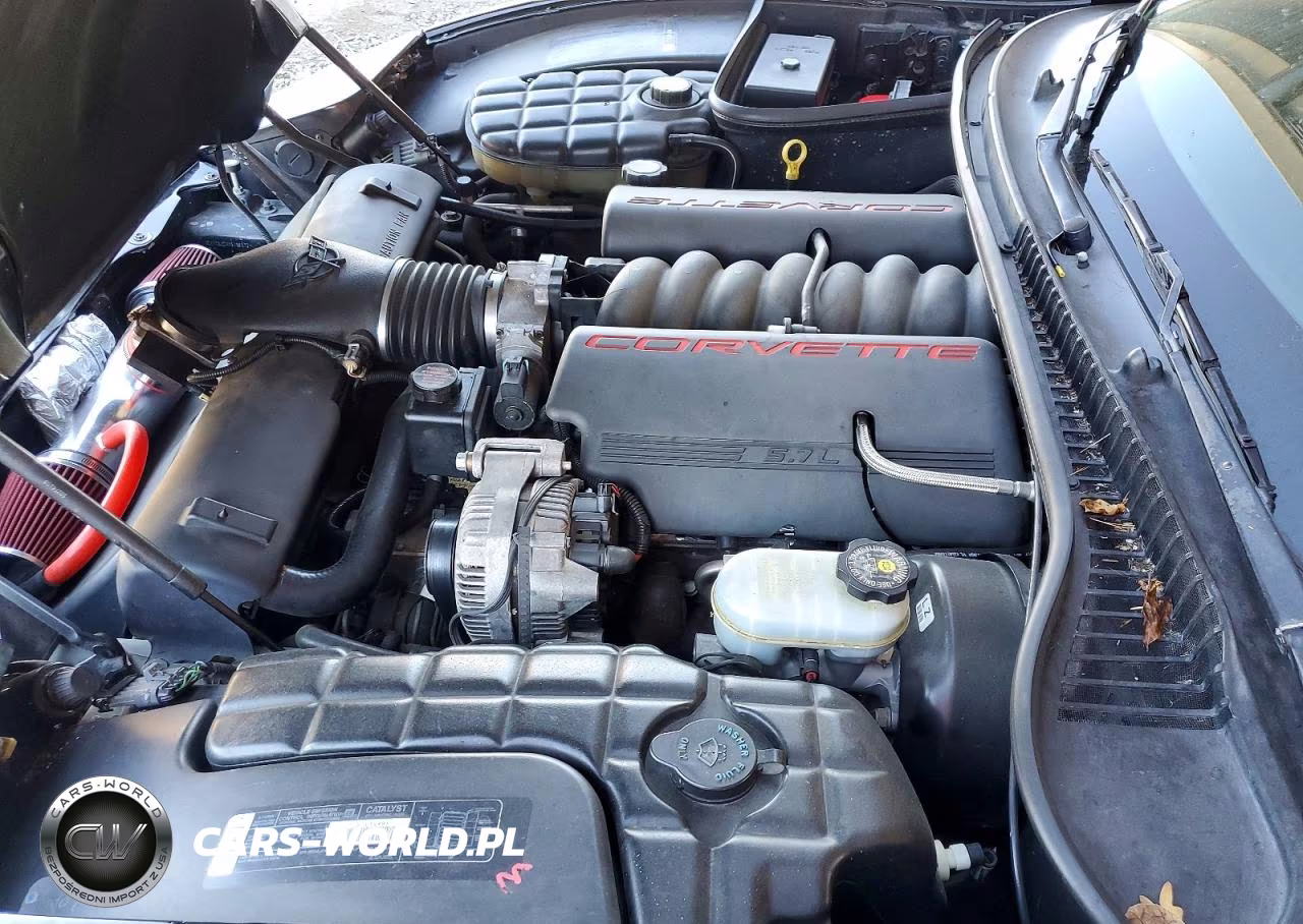1999 Chevrolet Corvette VIN:1G1YY32GXX5106677 - 11