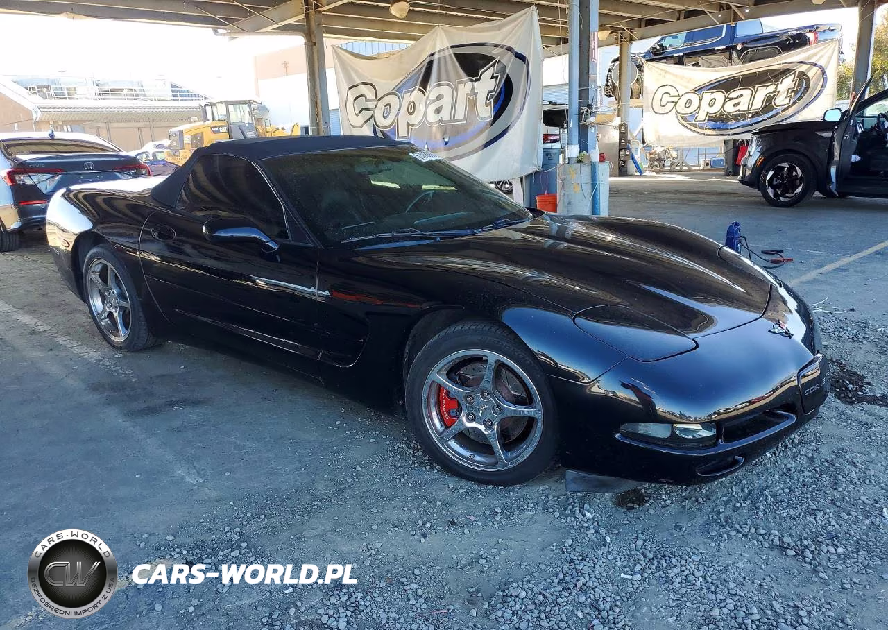 1999 Chevrolet Corvette VIN:1G1YY32GXX5106677 - 4