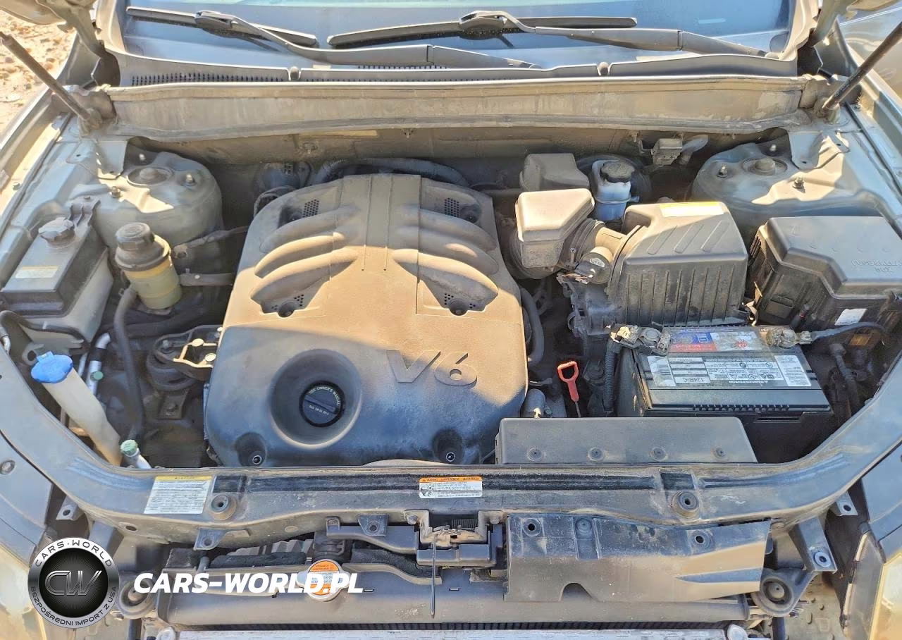 2009 Hyundai Santa Fe Se VIN:5NMSH13E49H240387 - 12