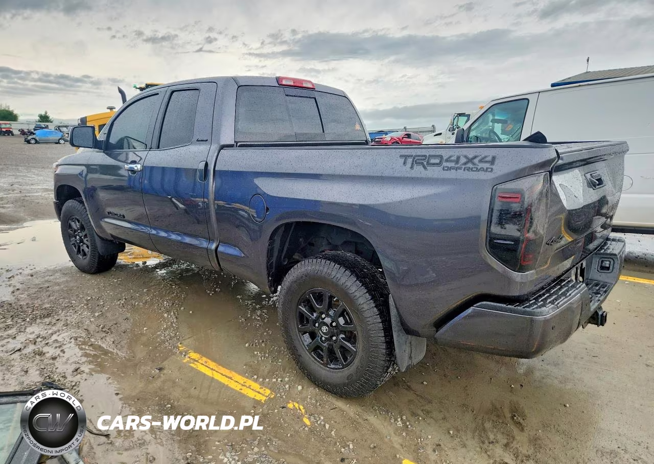2019 Toyota Tundra Double Cab Limited VIN:5TFBY5F10KX870050 - 2