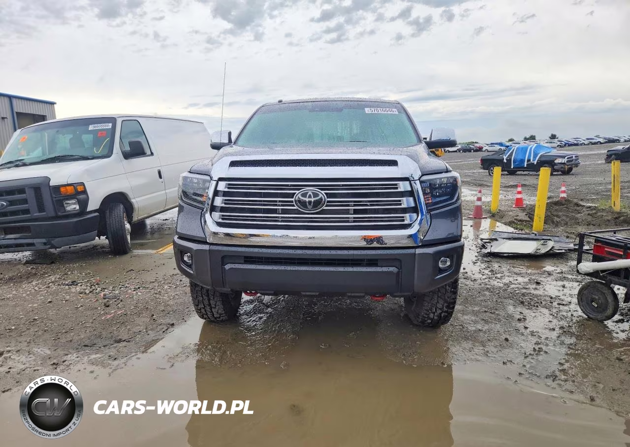 2019 Toyota Tundra Double Cab Limited VIN:5TFBY5F10KX870050 - 5
