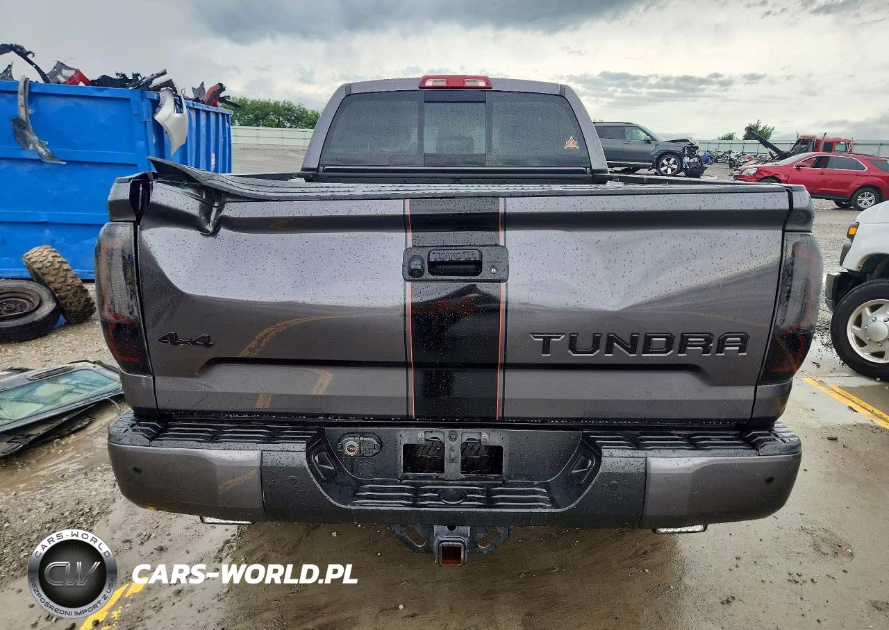 2019 Toyota Tundra Double Cab Limited VIN:5TFBY5F10KX870050 - 6