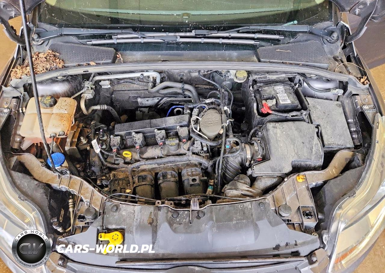 2014 Ford Focus Se VIN:1FADP3K27EL181560 - 11