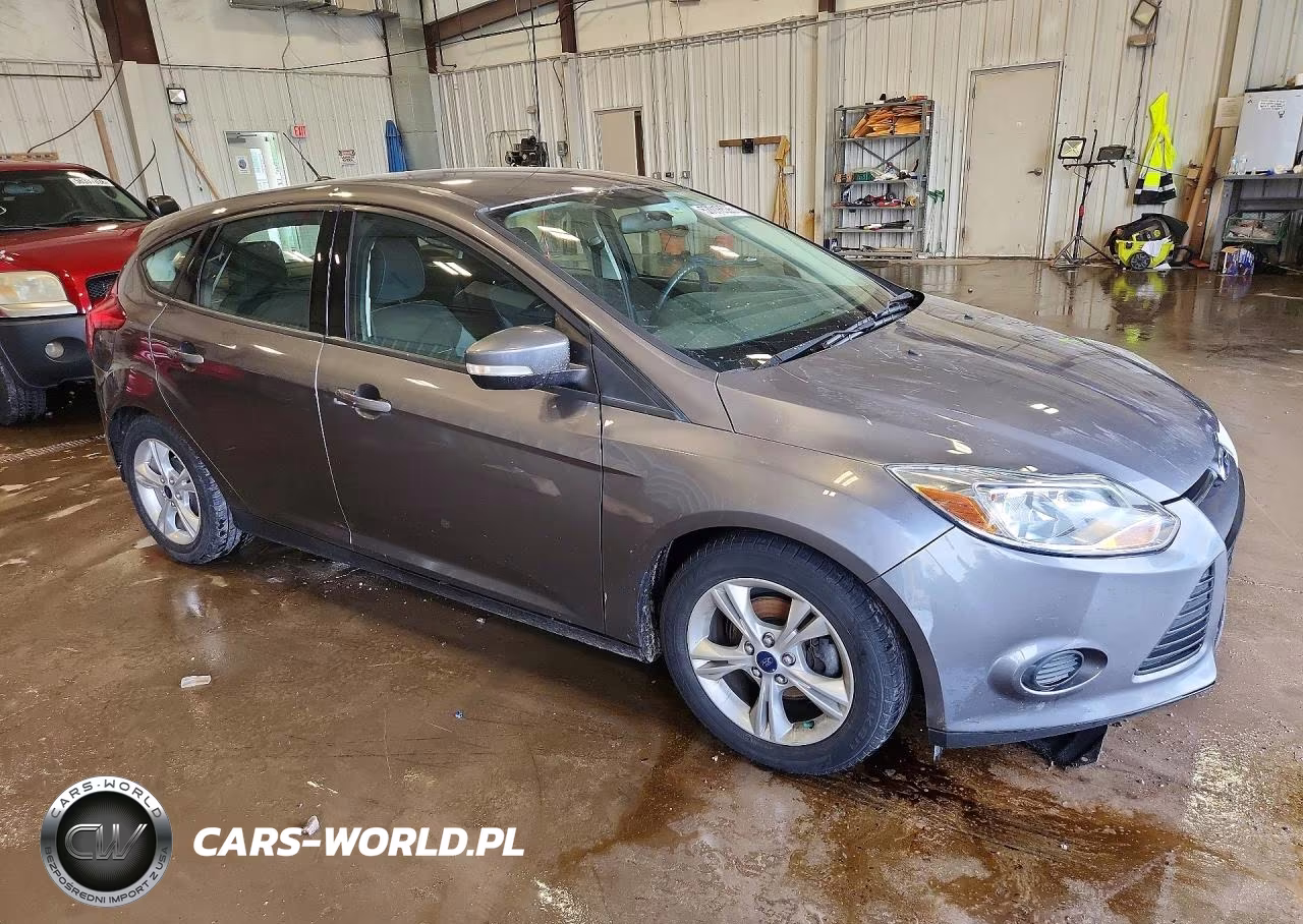 2014 Ford Focus Se VIN:1FADP3K27EL181560 - 4