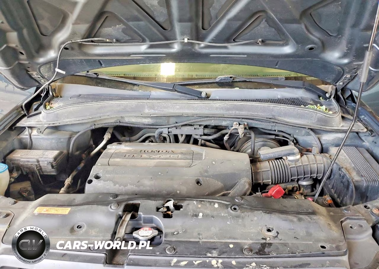 2004 Honda Pilot Exl VIN:2HKYF18534H519625 - 12