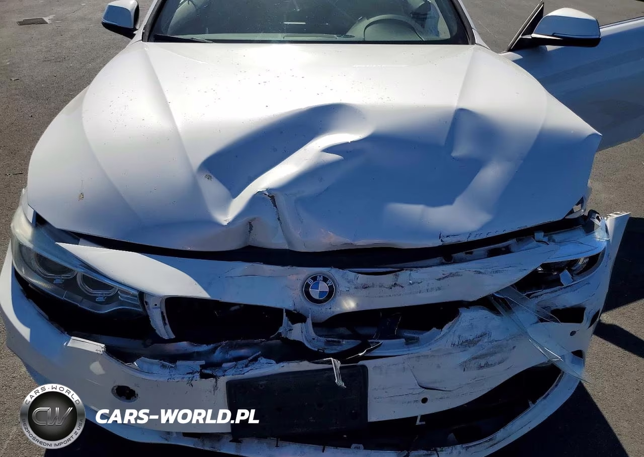 2016 BMW 428 I Sulev VIN:WBA3V7C5XG5A26679 - 11