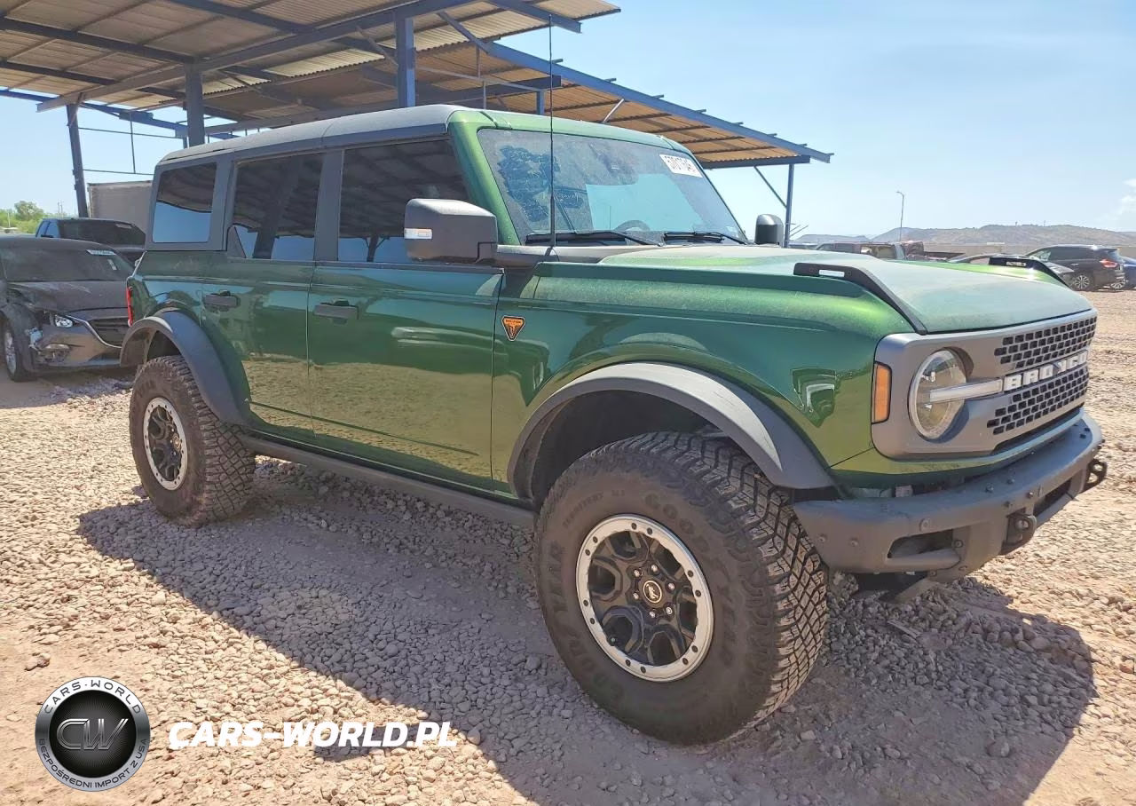 2024 Ford Bronco Badlands VIN:1FMEE9BP9RLB16116 - 4