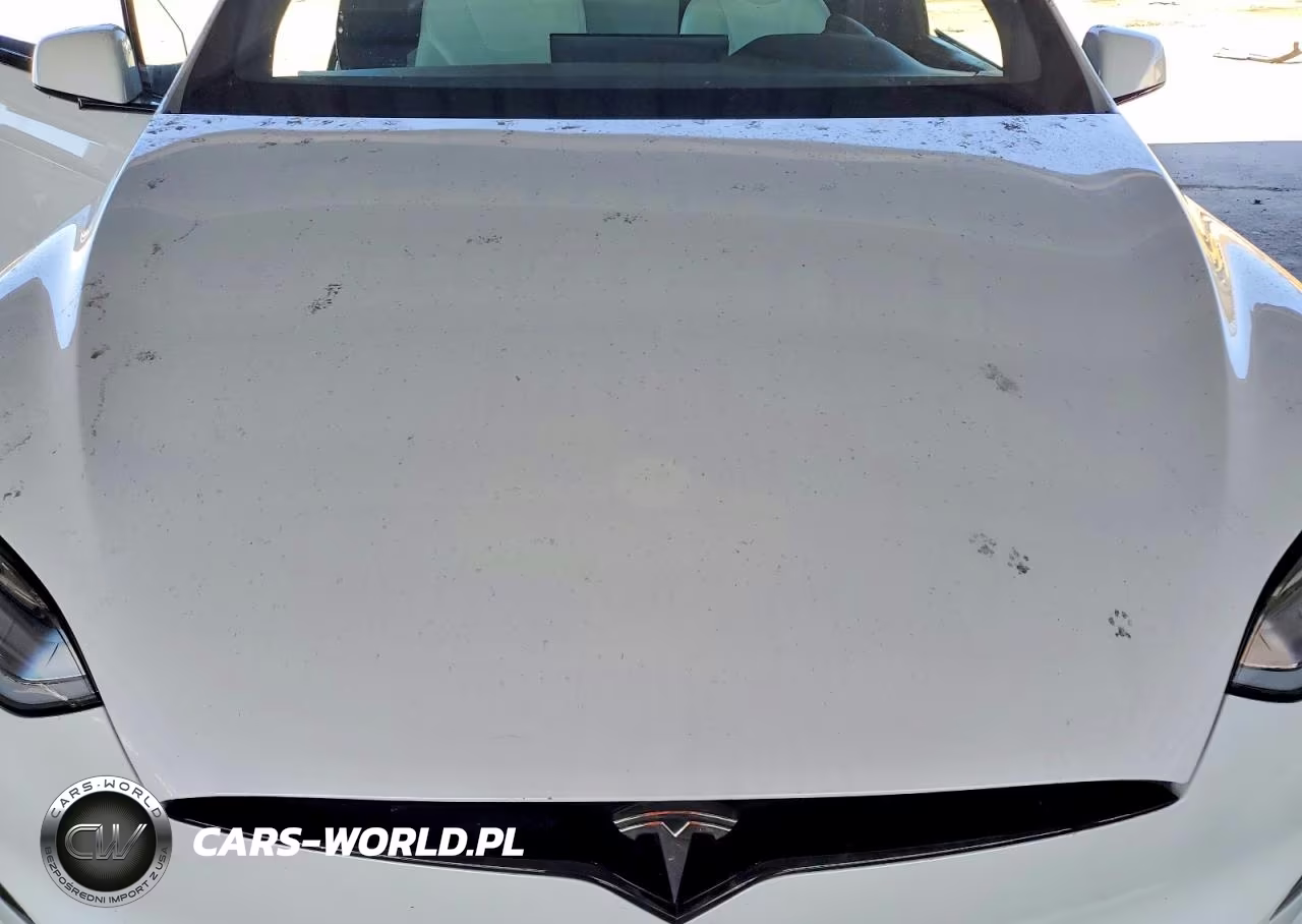 2023 Tesla Model X VIN:7SAXCAE58PF380199 - 11