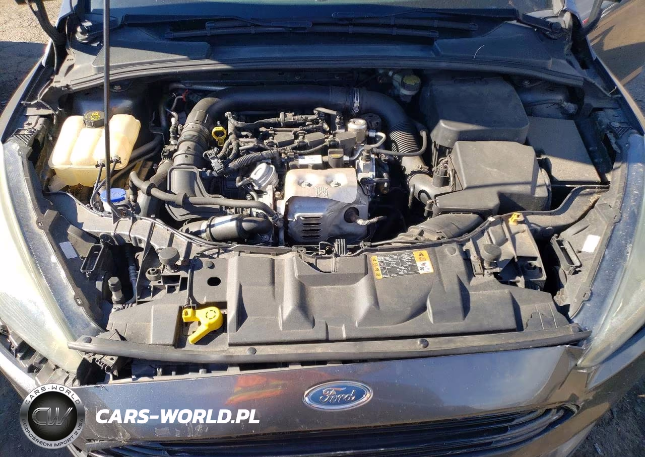 2016 Ford Focus Se VIN:1FADP3FE7GL342593 - 11
