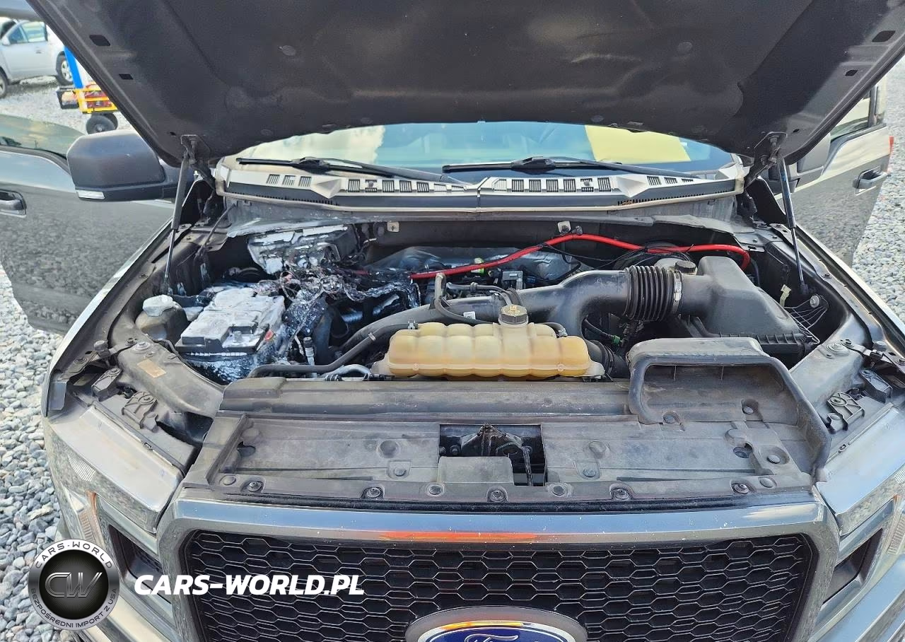 2020 Ford F150 Supercrew VIN:1FTEW1CP1LFA77299 - 11