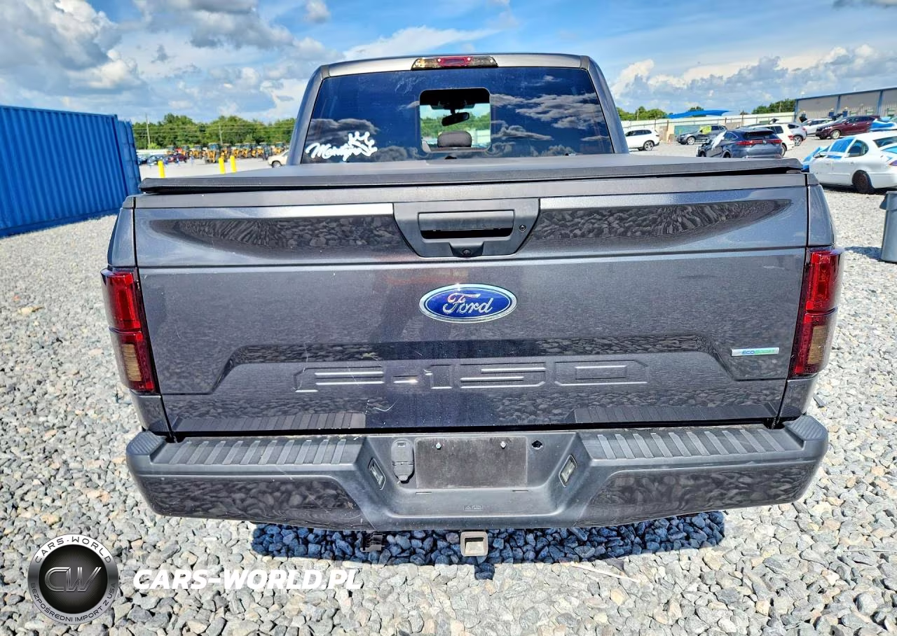 2020 Ford F150 Supercrew VIN:1FTEW1CP1LFA77299 - 6