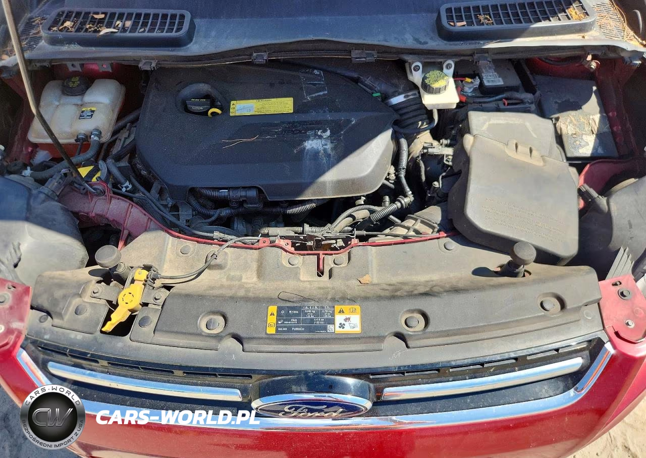 2013 Ford Escape Sel VIN:1FMCU0HXXDUC31758 - 12